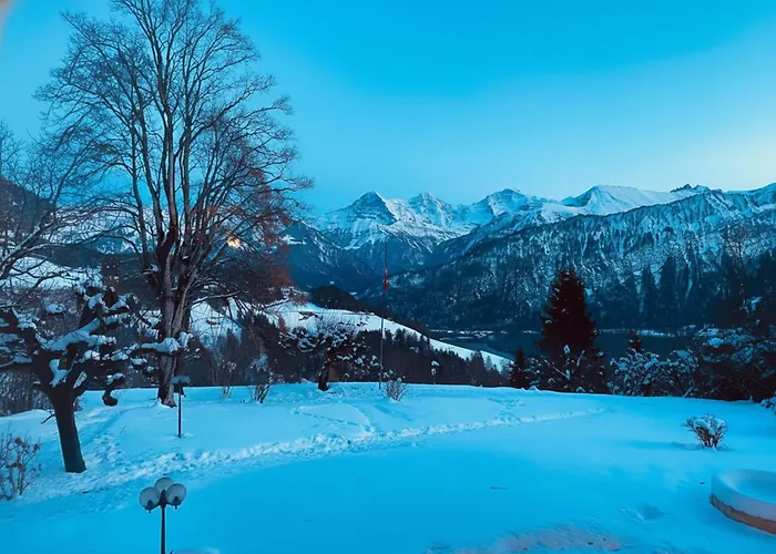 Hotel & In Interlaken 4*