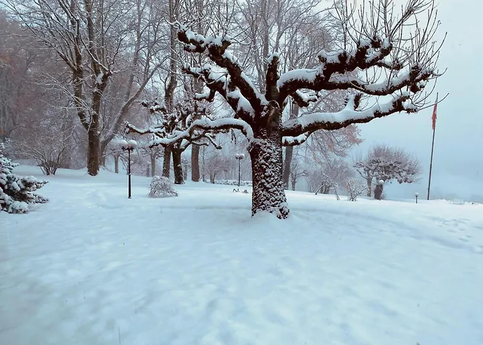 & In Interlaken מלון ביטנברג