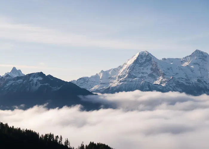 Hotel & In Interlaken Beatenberg