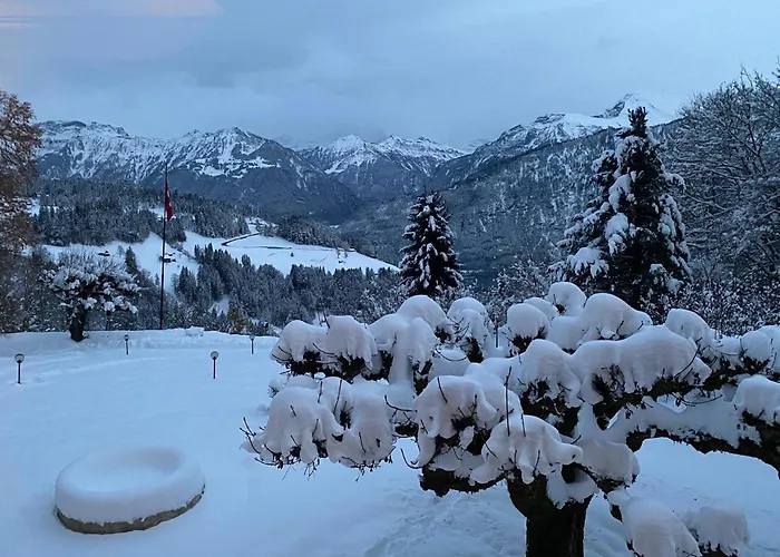 & In Interlaken Hotel Beatenberg