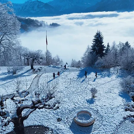 Hotel & In Interlaken