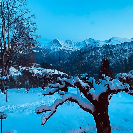 & In Interlaken Beatenberg