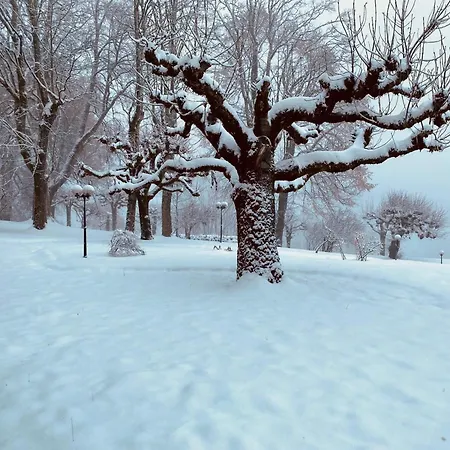 & In Interlaken Hotel Beatenberg